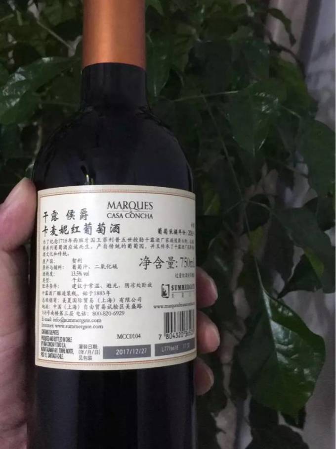 干露红葡萄酒
