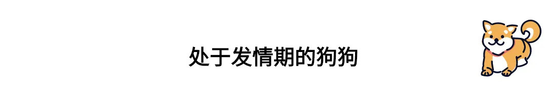 养狗指南速递——“是不是养了狗就失去自由了？”