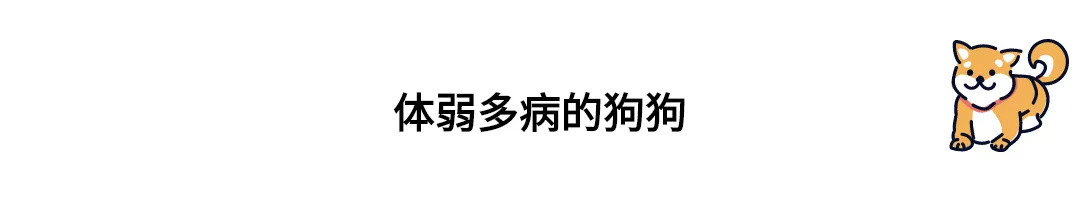 养狗指南速递——“是不是养了狗就失去自由了？”