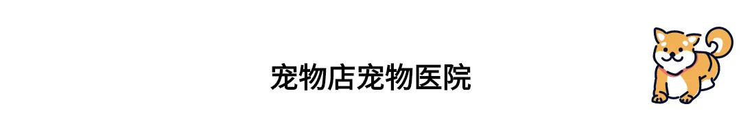 养狗指南速递——“是不是养了狗就失去自由了？”