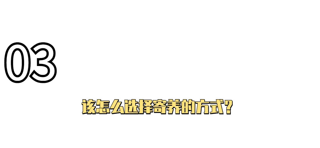 养狗指南速递——“是不是养了狗就失去自由了？”