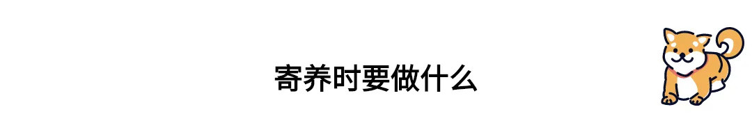 养狗指南速递——“是不是养了狗就失去自由了？”