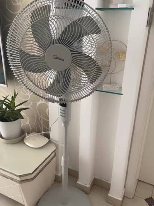 我爱捡垃圾电风扇