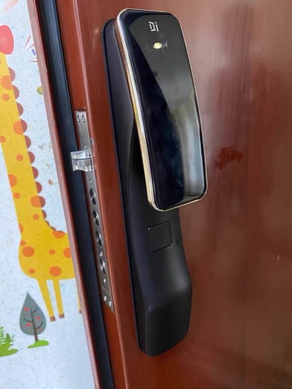 dessmann德施曼智能指纹锁q2包安装