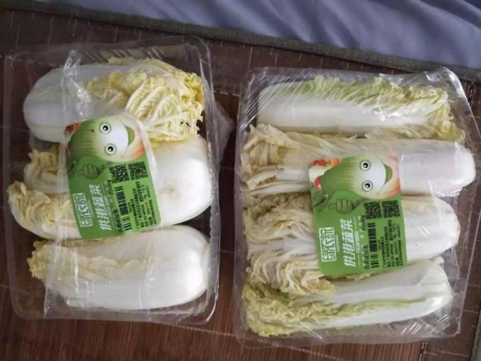 绿农说蔬菜