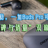 一家之言 篇十：蹄疾步稳，一加Buds Pro可能再造“口碑与销量”双巅峰？