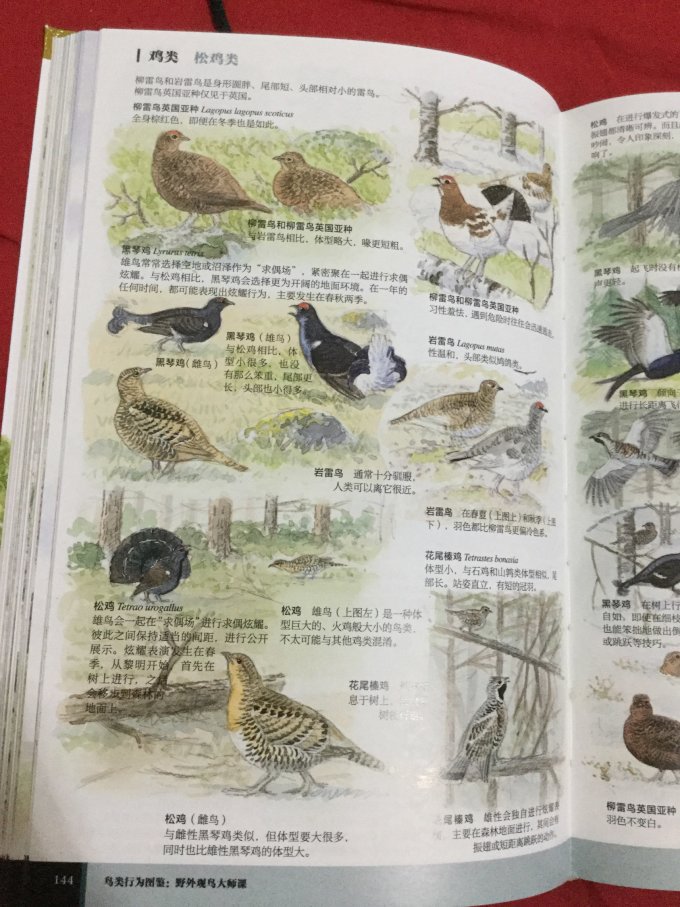 湖南科学技术出版社科学技术