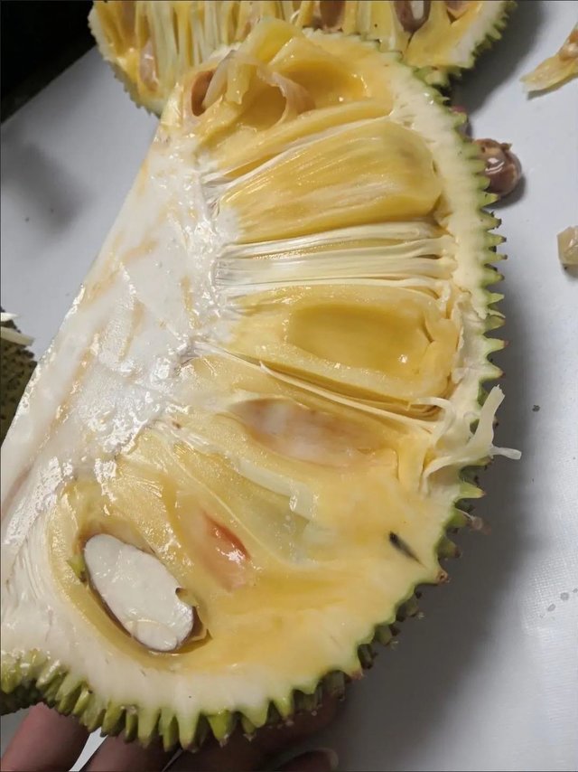 菠萝蜜