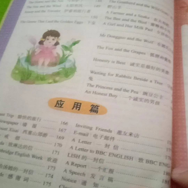 英语作文书