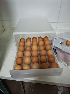 鸡蛋收纳盒