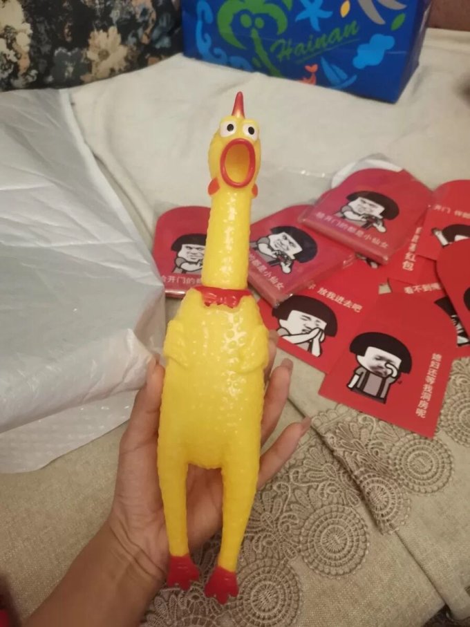 千羽宠物服饰