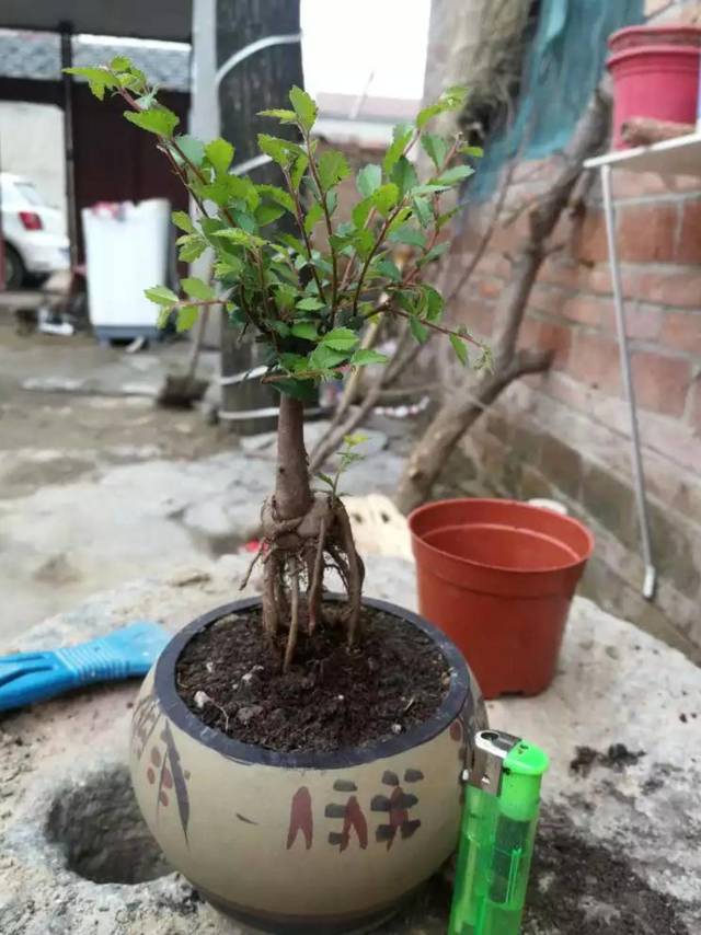 花无痕花瓶