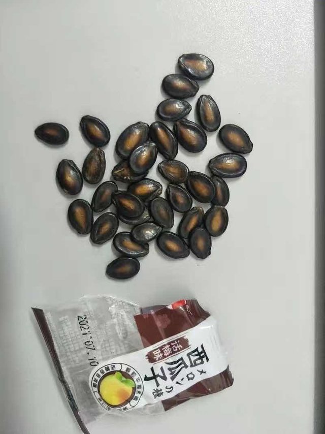 西瓜子