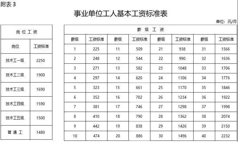 散尾葵的寓意与风水免费测试事业运程