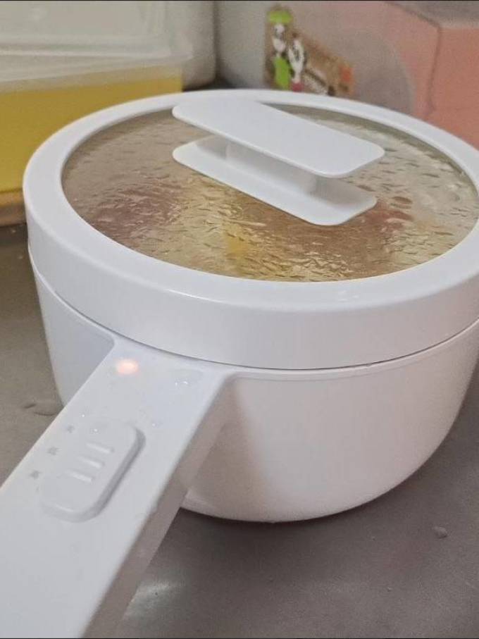 欧莱克多用途锅