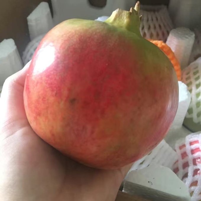 飞犇新鲜水果