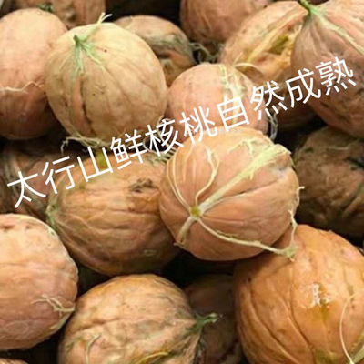 新鲜去皮核桃你吃过么？