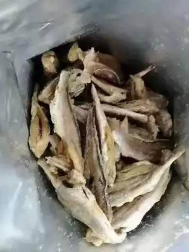 小黄鱼
