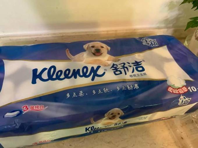 舒洁卷纸