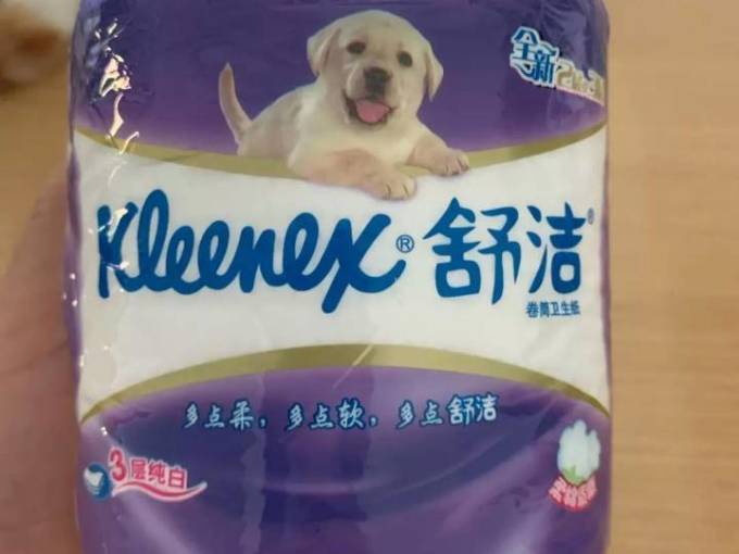 舒洁卷纸