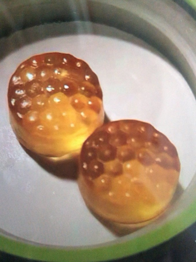 基础健康