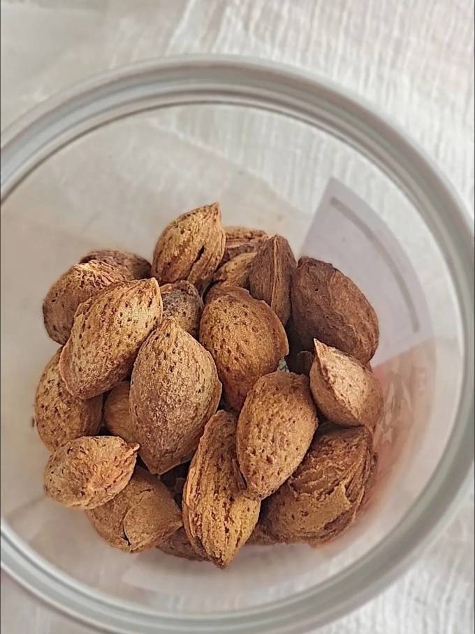 憨豆熊其他坚果