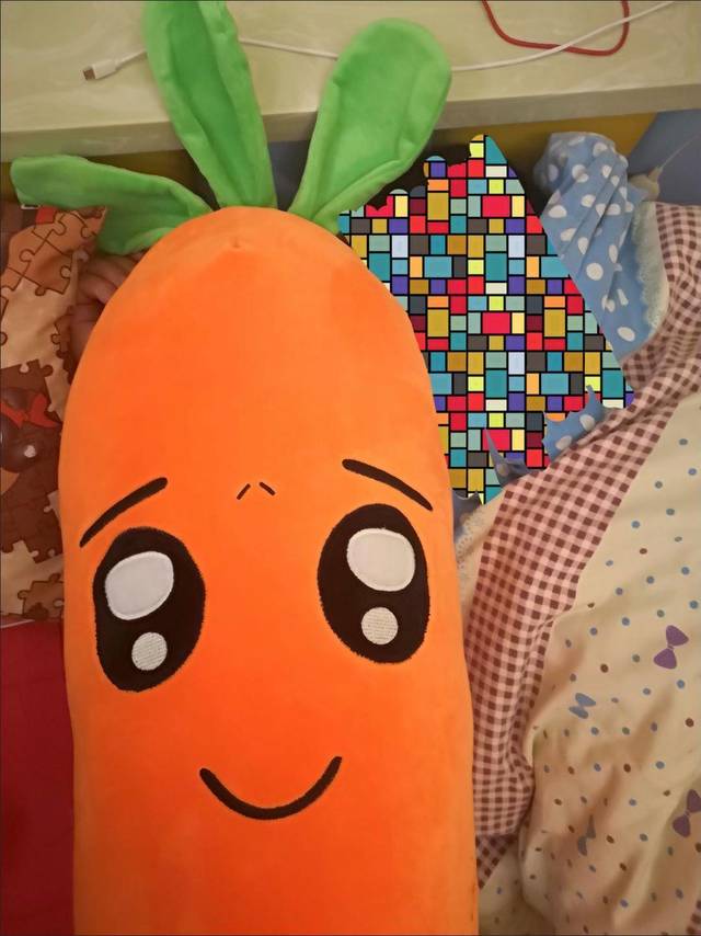 胡萝卜抱抱枕