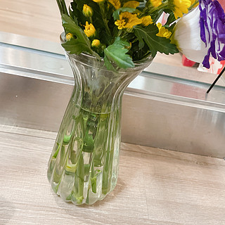 玻璃瓶透明水培植物花瓶