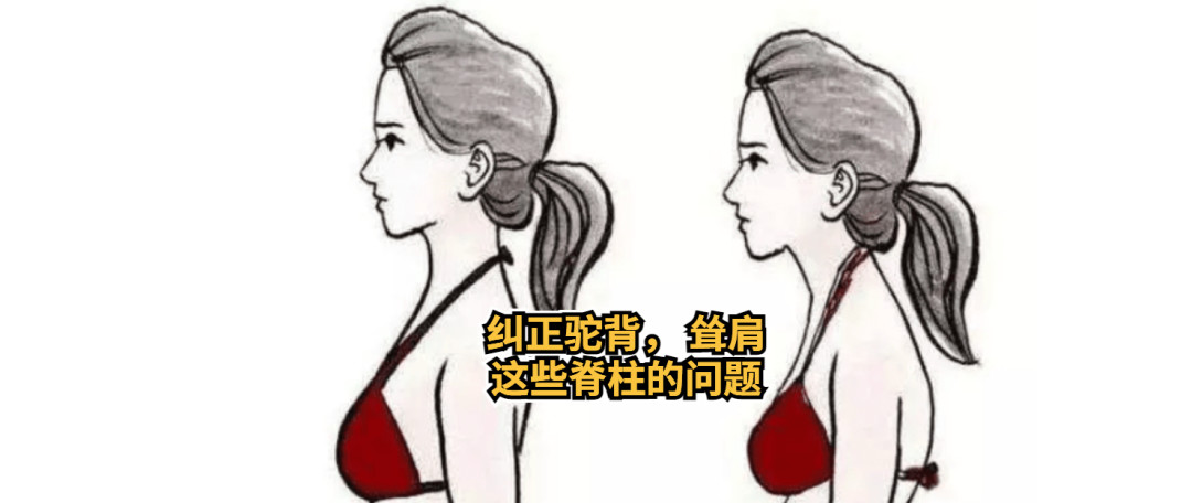 追觅V12无线手持吸尘器,养宠家庭必备神器 “撸猫以后, 如何保持优雅?”