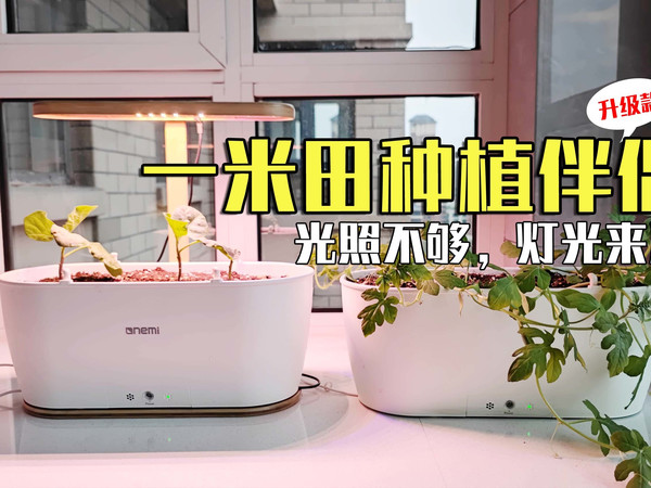 一米田种植伴侣升级款，光照不够灯光来凑