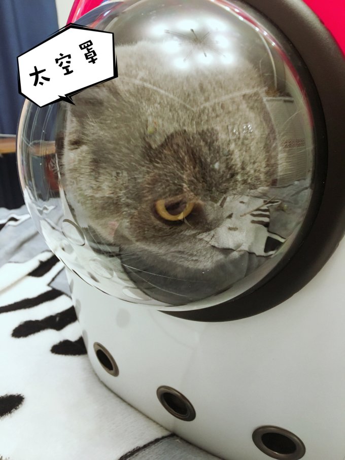 茨格曼宠物航空箱