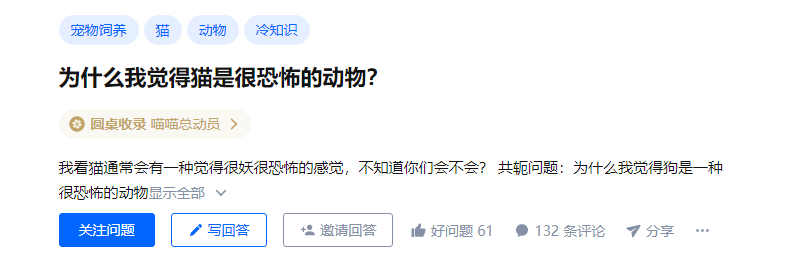 猫咪奇怪冷知识——“为什么我觉得猫是很恐怖的动物？”可能你得了恐猫症！