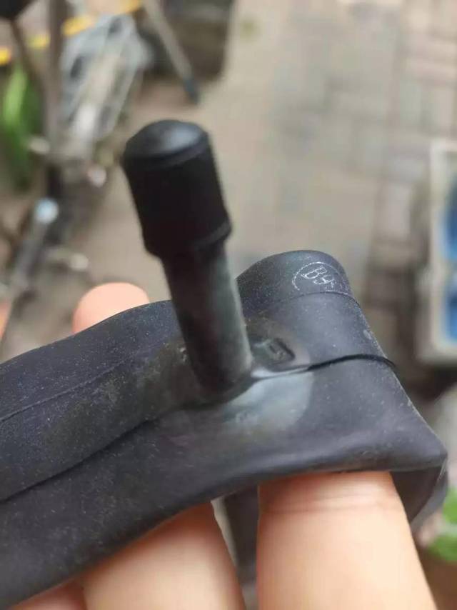 内胎
