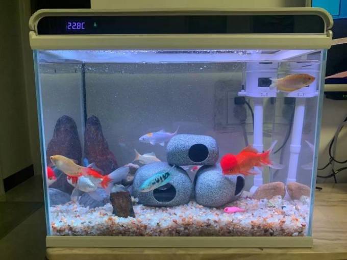森森智能鱼缸/水族箱