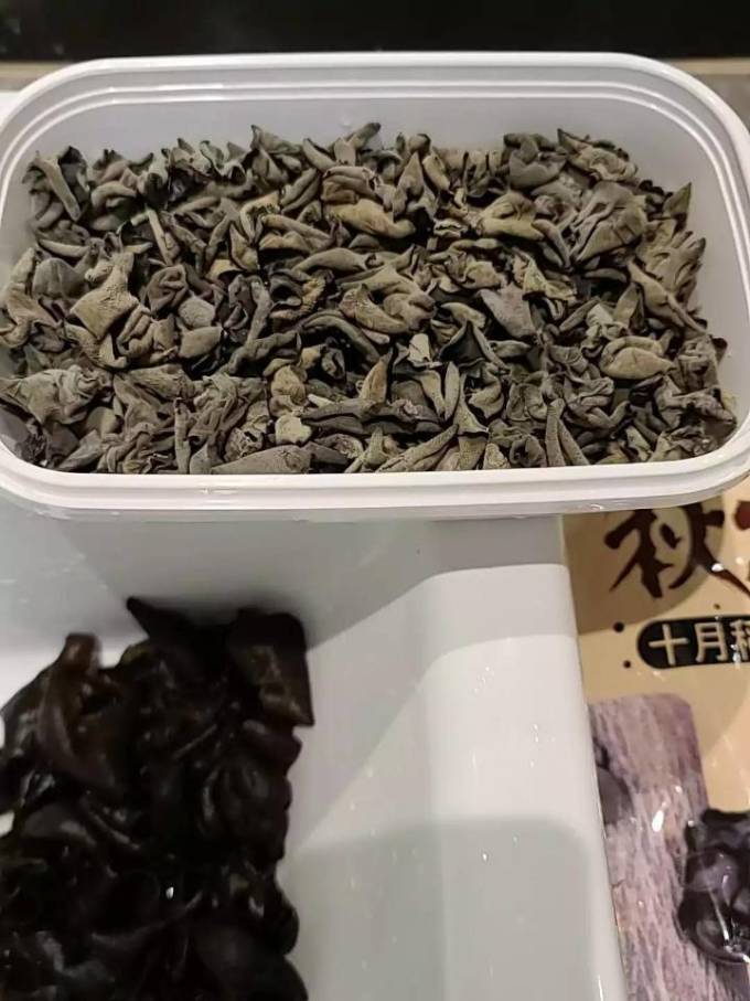 十月稻田菌菇木耳