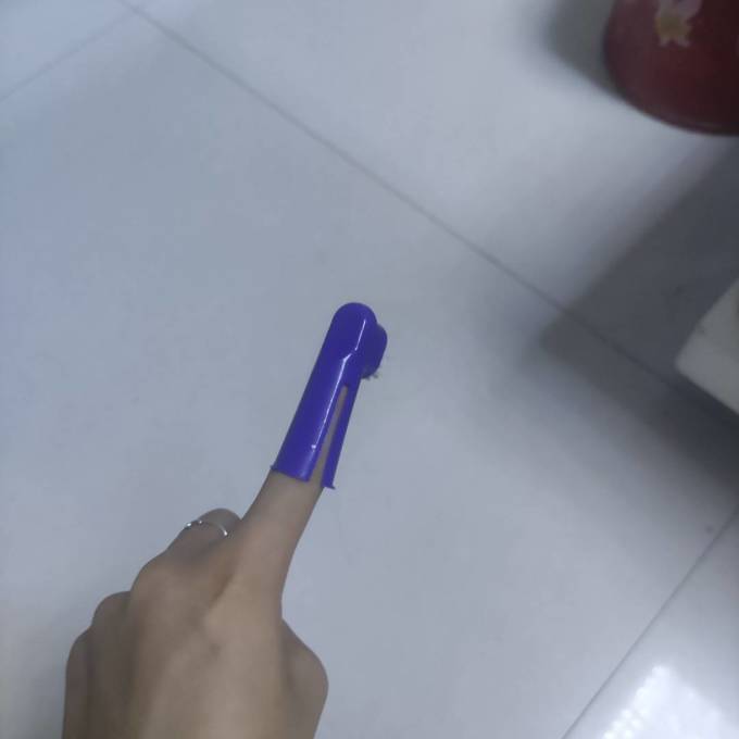 宠物用品
