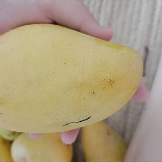 泰果园新鲜水果