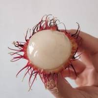 红毛丹