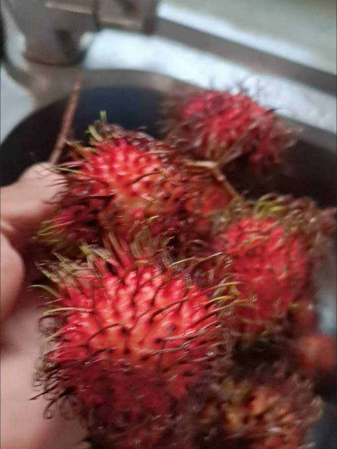 升森新鲜水果