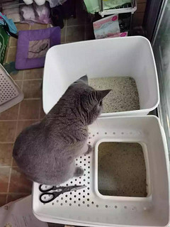 猫砂盆