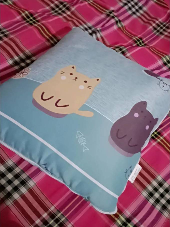 绿之源靠垫靠枕