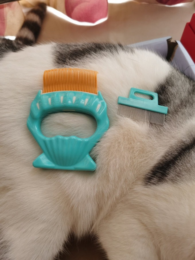 宠物美容工具