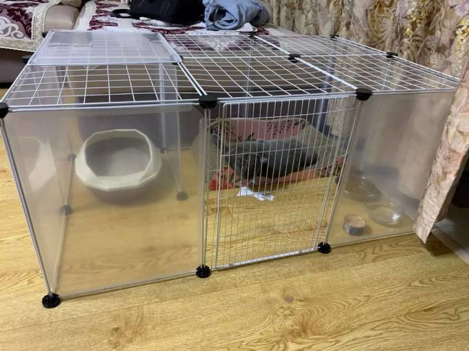 智汇宠物用品