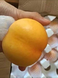 16块12个的黄油桃