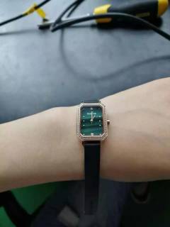 雷诺小绿表