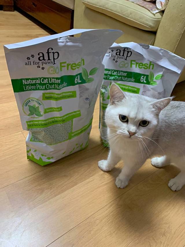 猫砂
