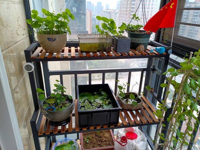 花憩小筑客厅置物架