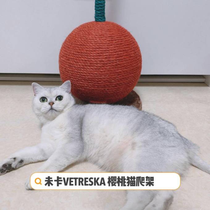 未卡猫玩具
