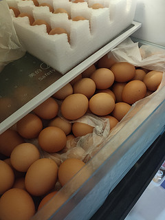 便宜又卫生的神州绿源鸡蛋