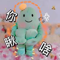 抱腿仙人掌
